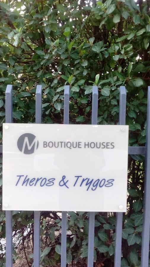 Theros & Trygos Boutique Houses - Ath Airport 阿特米达 外观 照片